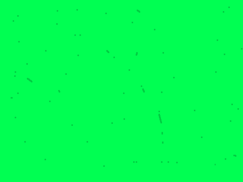 scroll test