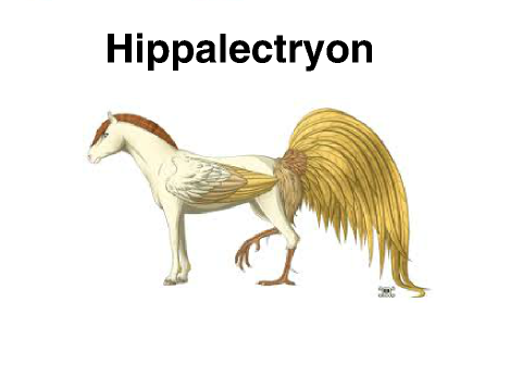 The Hippalectryon (half horse half rooster)