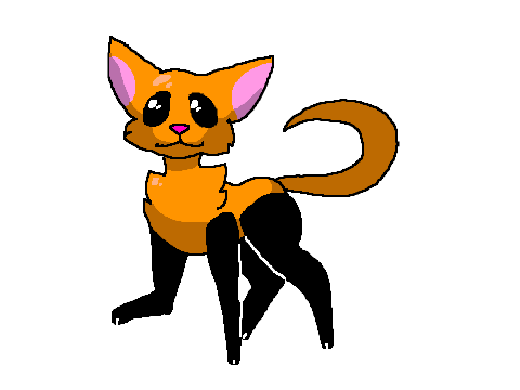 sillykittys