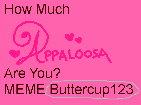 How Much Appaloosa Are You REMIX!(my remix!)
