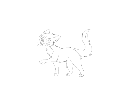 Cat coloring contest