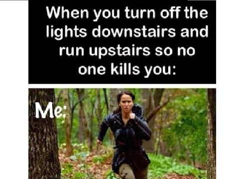 The Hunger Games Memes and Pics