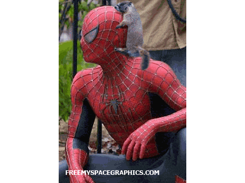 Spidermans special friend