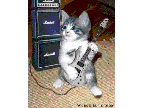 Cat Rock
