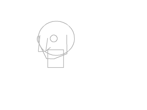 First animation attempt- head rotation