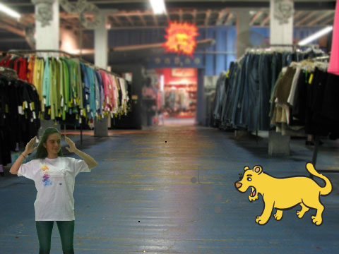 Lion encounter.