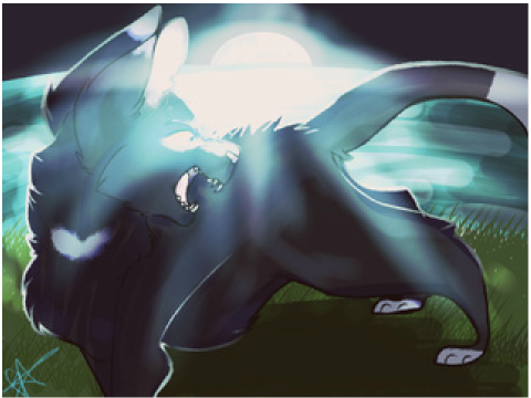 P.O.L.A.R.O.I.D. }OPEN CROWFEATHER M.A.P.{
