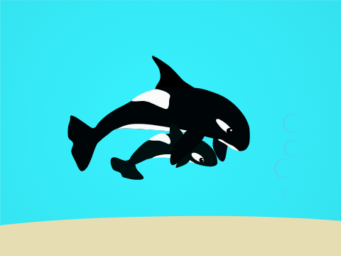 Mini orcas