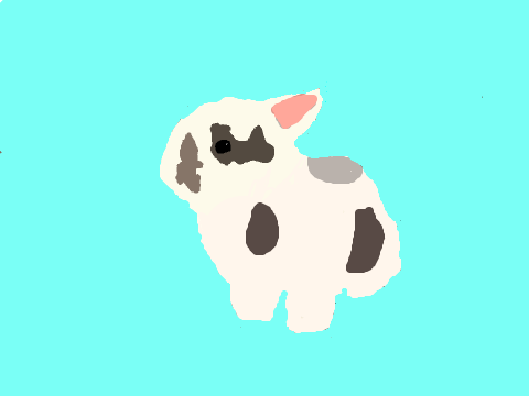 Bunny art