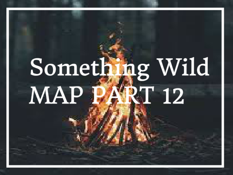 Something Wild 300 MAP