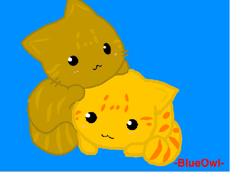 Kitty CCE