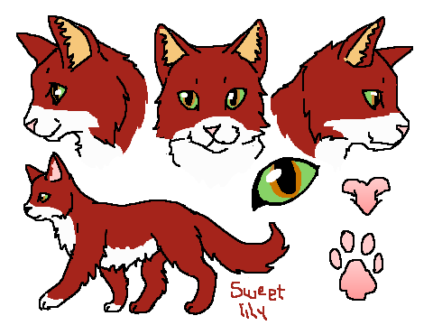 Sweetlily