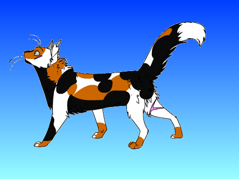 Spottedfern - A Warrior Cat Short Story