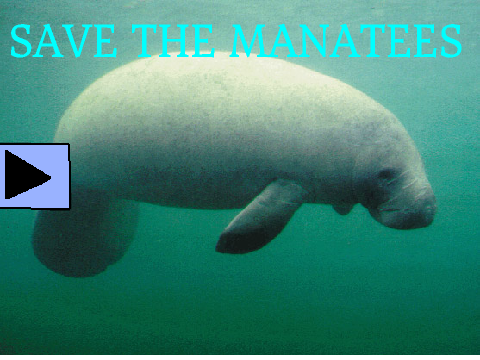 Save the manatees