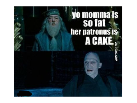 30 Harry Potter memes, NOT for MUGGLES