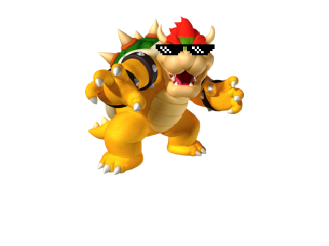 Bowser with deal with it glasses
