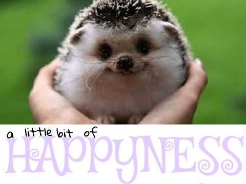 a little bit of happyness