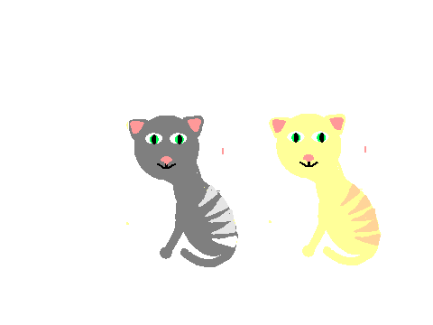 Cat Drawings 