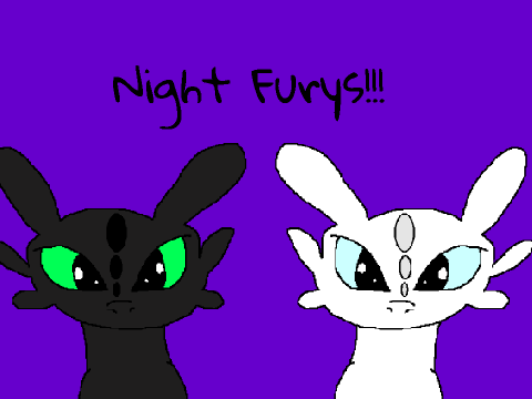 Night Furies!!!