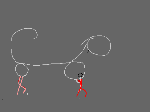 Walking cat skeleton