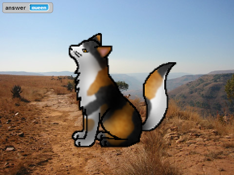 Make a Clan Cat