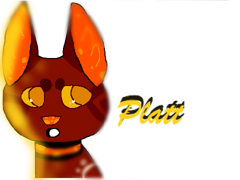 For Platt !!