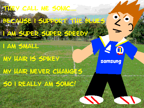 I really am sonic.....