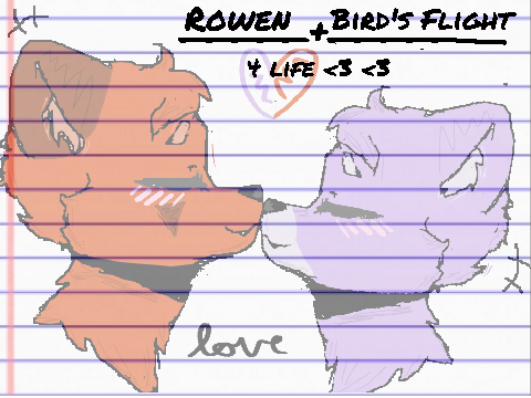 Shipping CCE "Rowen X Bird's Flight"