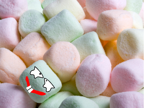 Add yourself as a marshmallow... remix