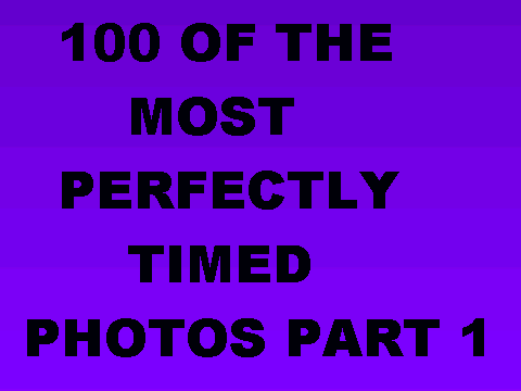 100 Perfectly Timed Photos