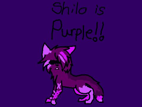 shilo is PURPLE!!!!!!!!