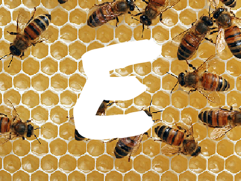 E      