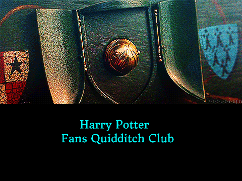 Welcome to "Harry Potter Fans Quidditch Club"
