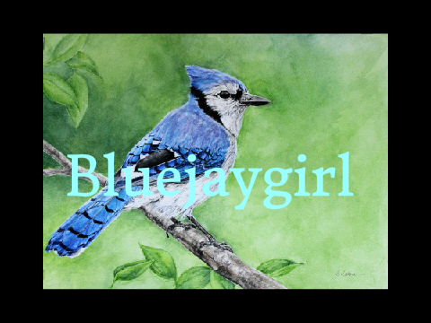 Intro for BlueJayGirl265