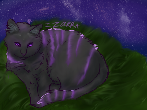 Izzara (hopefully adopted)