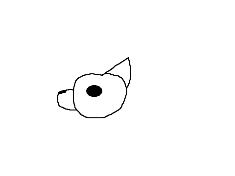 animation