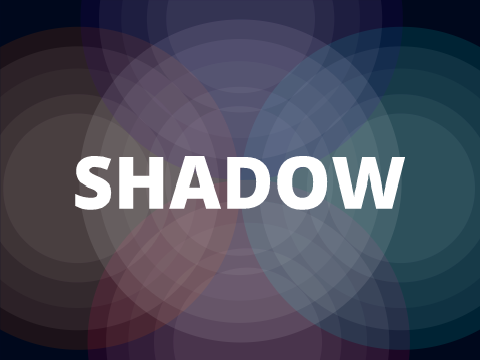 Shadow Experiment