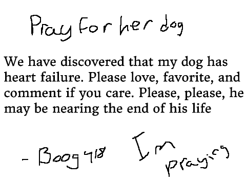 Please Pray For My Beautiful Dog remix