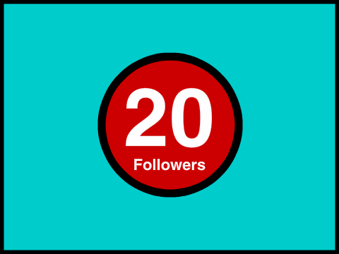 20 Follower Contest