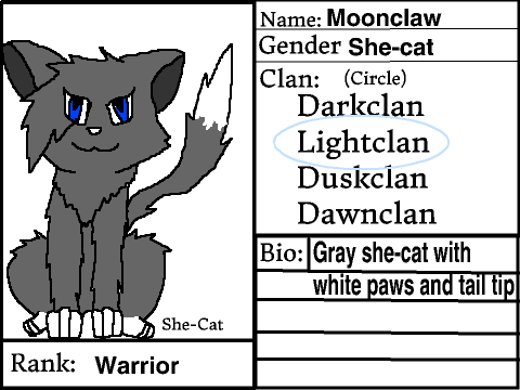 Bio Sheet For Clans Of The Night Sky remix