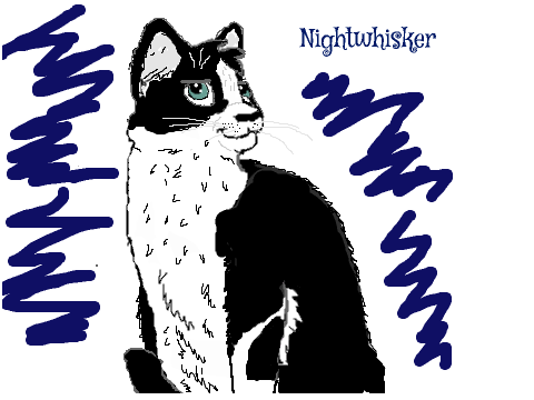 Mate Contest for Dawnsong: Nightwhisker