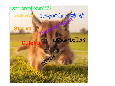 Sign here if you're against Caracal hunting! 4 remix remix remix remix remix-2
