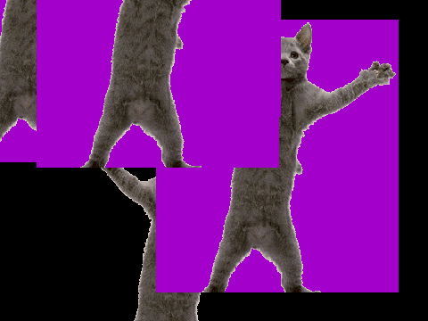 Kitty Kitty Meow Meow(Check out da backround)