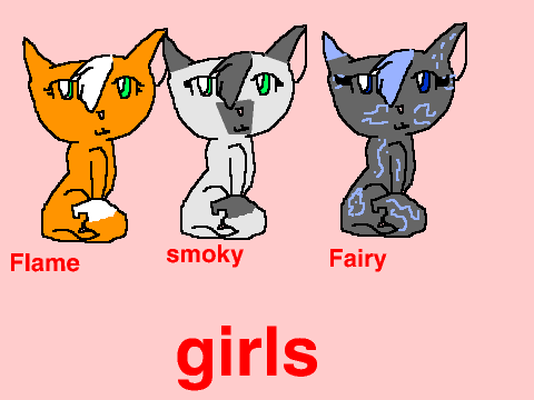 Kitten adoptables