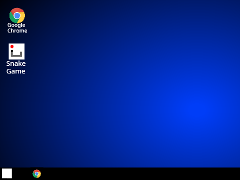 Computer Simulation