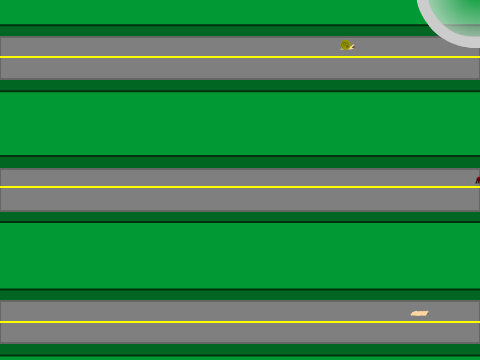 The Great Insect Race!