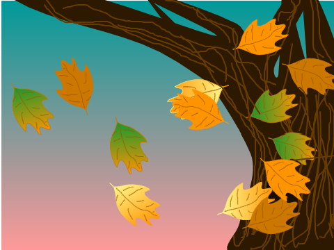 leaves