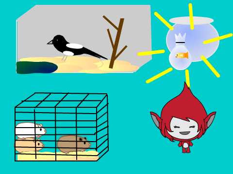 Pet Shop