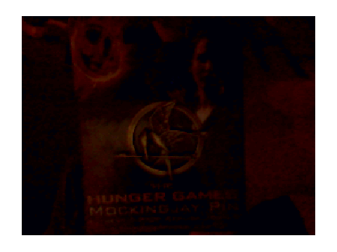 hunger games pin