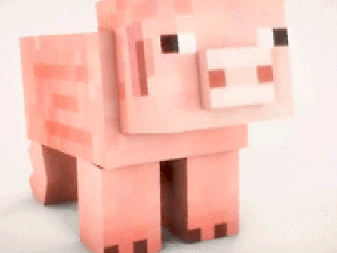 pig gif